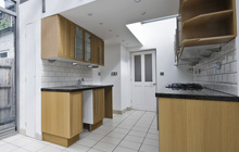 Crackleybank kitchen extension leads